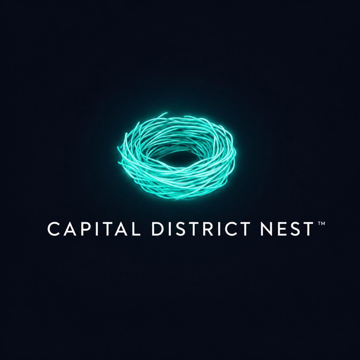 Capital District Nest